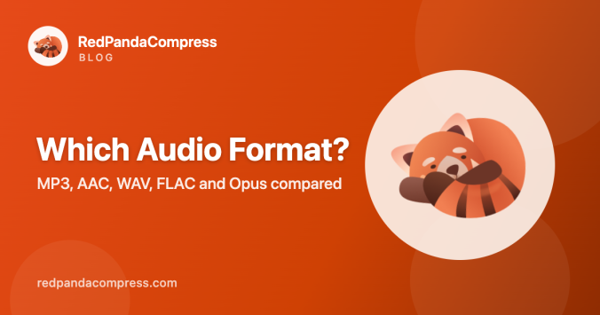 Audio format comparison guide cover image