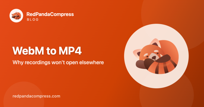 WebM to MP4 conversion guide cover image