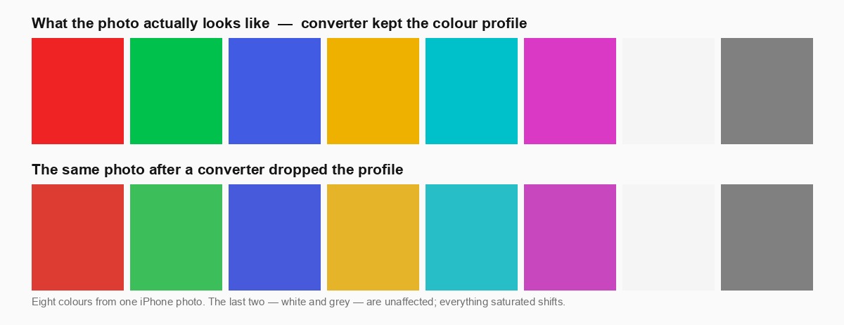 Two rows of eight colour swatches from the same iPhone photo; the lower row, from a converter that dropped the colour profile, is visibly duller and less saturated
