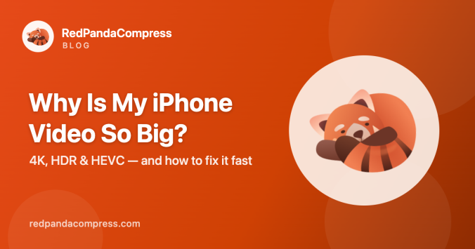 Why is my iPhone video so big — cover image for RedPandaCompress blog post about iPhone video file sizes