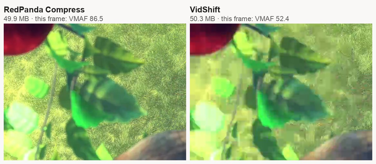 Blocky grass and leaves in VidShift output next to RedPanda Compress at the same file size